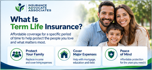 Term life insurance overview graphic